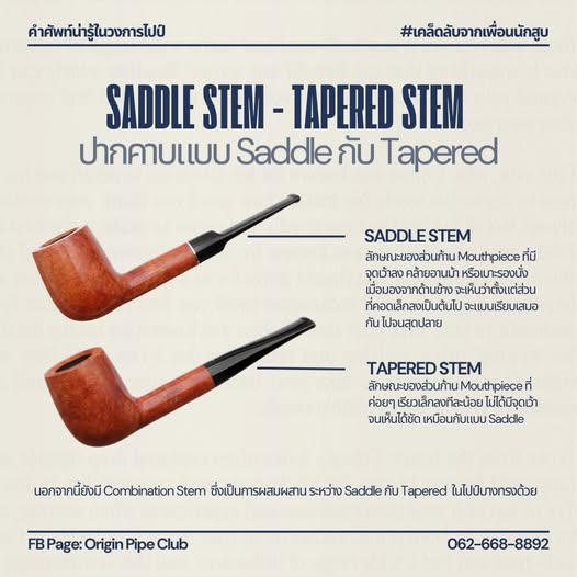 ทำความรู้จักกับ ปากคาบแบบ Saddle กับ Tapered
