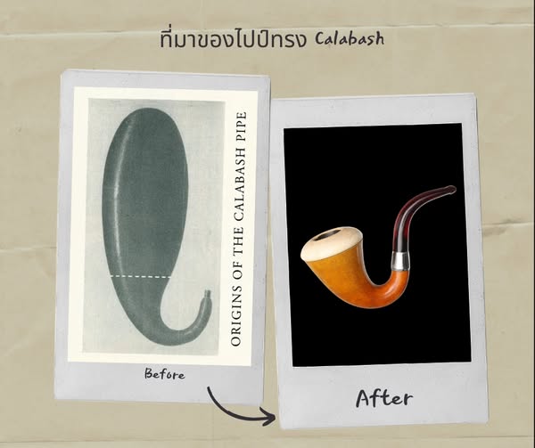 ที่มาของไปป์ทรง Calabash