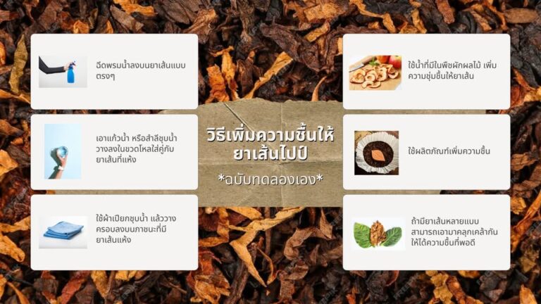 วิธีเพิ่มความชื้นให้ยาเส้น ฉบับทดลองเอง