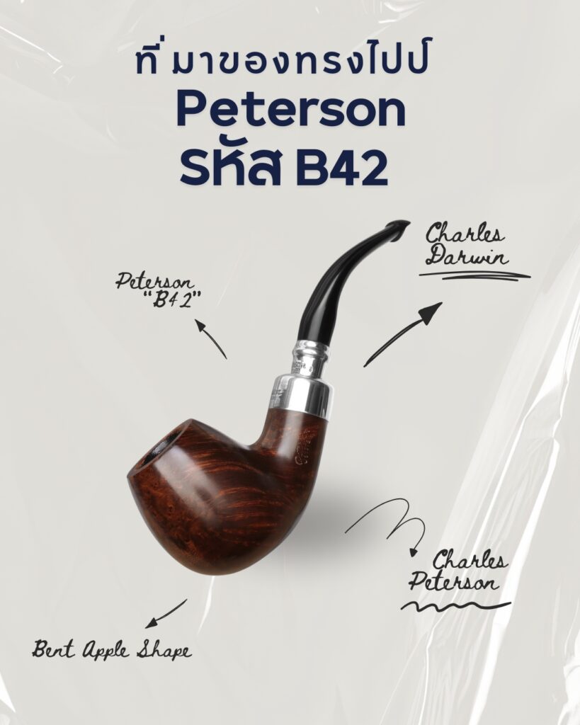 ที่มาของทรงไปป์ Peterson รหัส B42