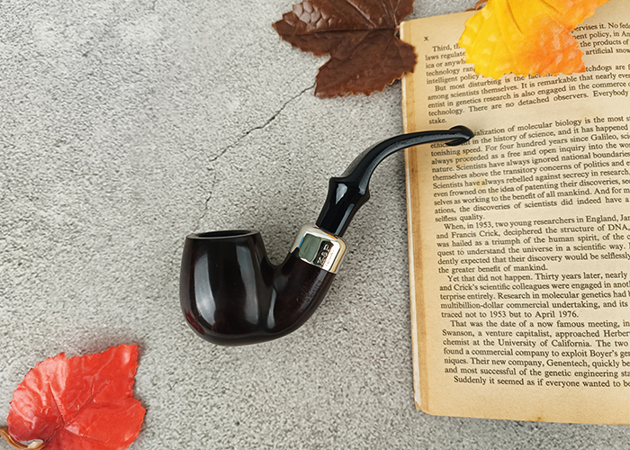ไปป์ Peterson System Standard Heritage 314 P-Lip