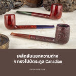 เคล็ดลับแยกความต่าง 4 ทรงไปป์ตระกูล Canadian