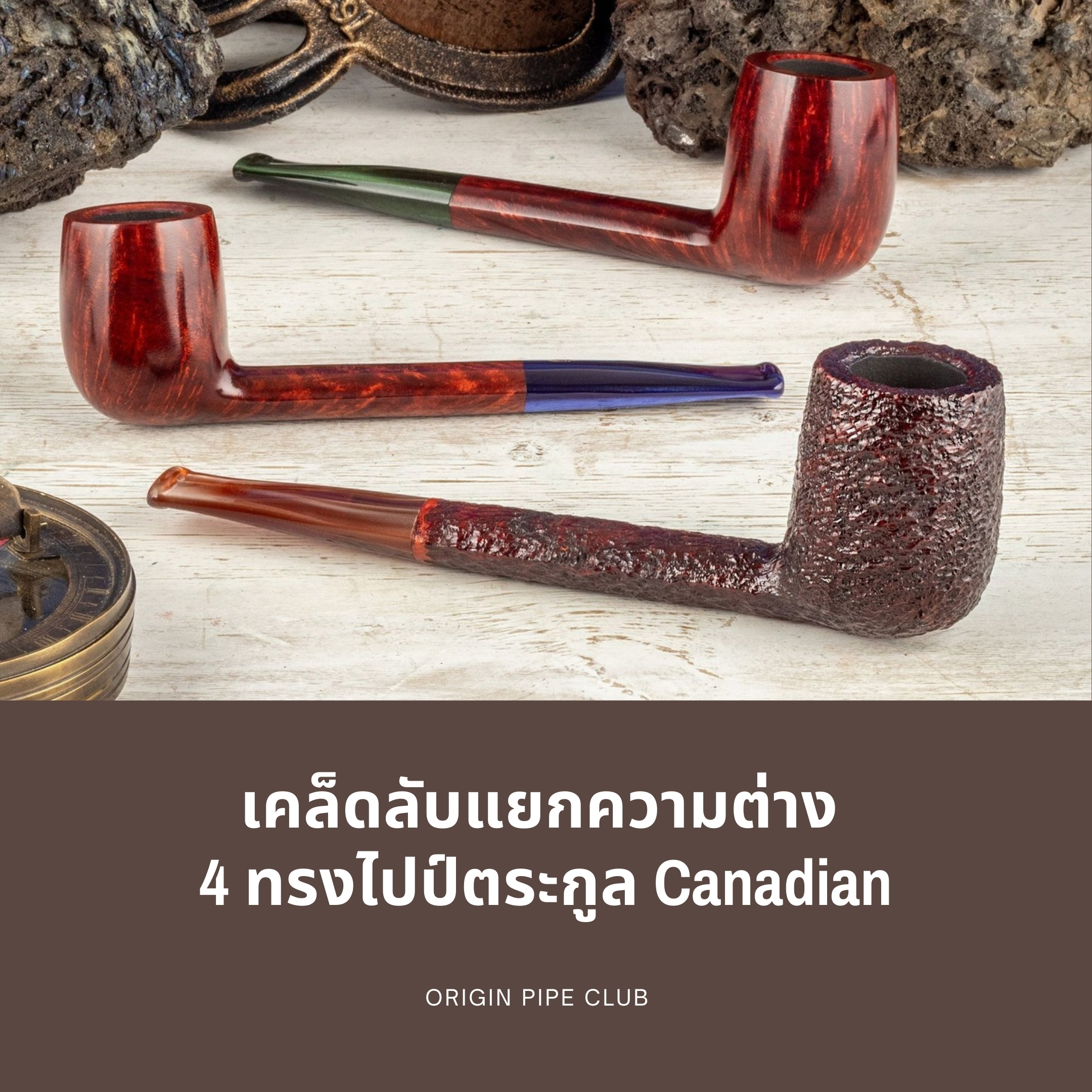 เคล็ดลับแยกความต่าง 4 ทรงไปป์ตระกูล Canadian