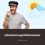 เคล็ดลับในการสูบไปป์ช่วงหน้าฝน