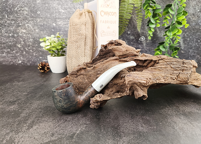 (Sold Out) ไปป์ Chacom Jurassic 268