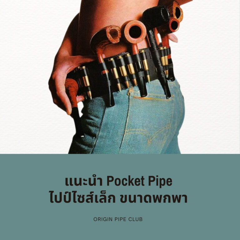 แนะนำ Pocket Pipe ไปป์ไซส์เล็ก ขนาดพกพา