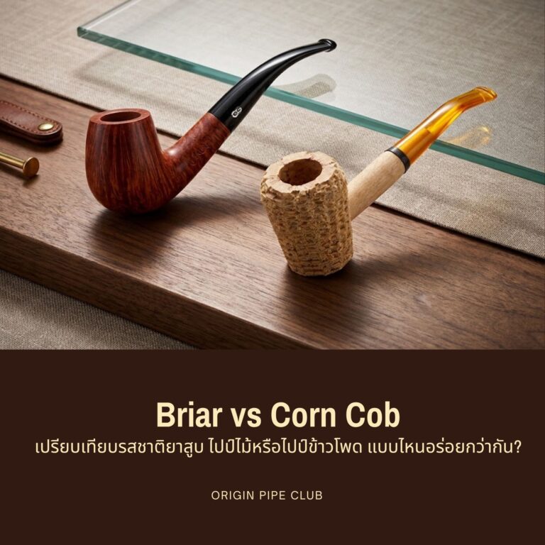 ไปป์ไม้ Briar vs ไปป์ข้าวโพด เปรียบเทียบรสชาติยาสูบ แบบไหนอร่อยกว่ากัน